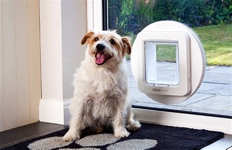 rfid implanted chip dog door|Electronic & Microchip Dog Doors .